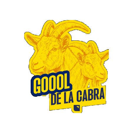 Ecuador Finanzas Sticker by Banco Pichincha