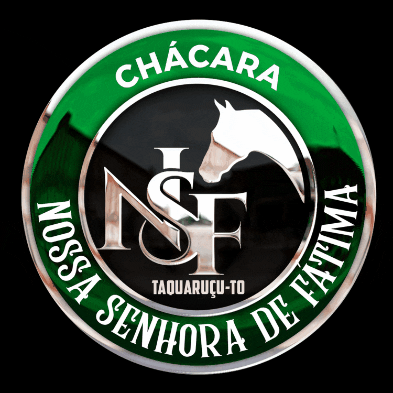 Palmas GIF