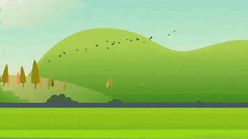 Social Media GIF