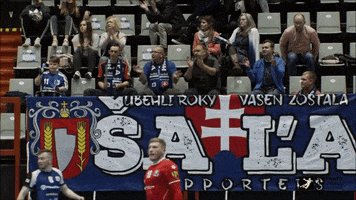 slovakhandball GIF