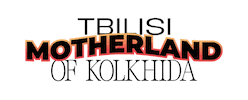 Kolkhida2025 Sticker by Aptos