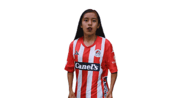 San Luis Soccer Sticker by Atlético de San Luis