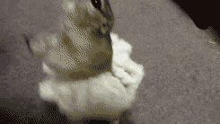 [Image: giphy.gif]