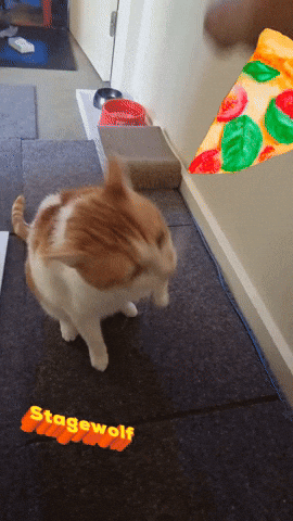 Angry Cat GIF by STAGEWOLF - Find & Share on GIPHY