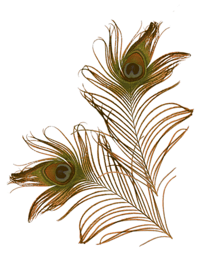 Aguaclara Official Sticker