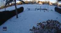 Security Camera Captures Moment Car Careens Into Frozen River in Ontario