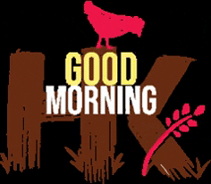 Good Morning Chickens GIF by Homegrown Kosher