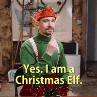 Christmas Elf Ttrpg GIF by zoefannet