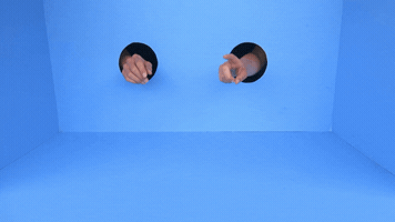 Lindyhengst GIF