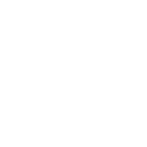 Dunedin Fringe Festival Sticker