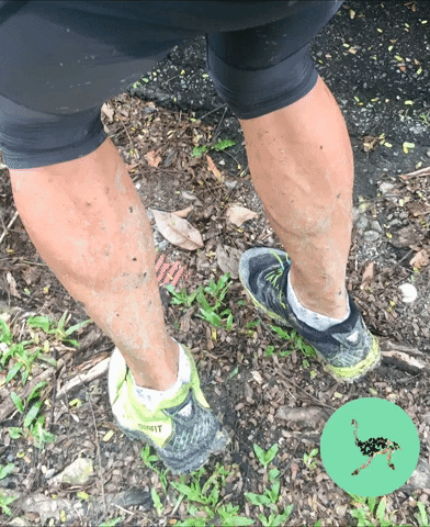 Run Running GIF by alessandrosherpa