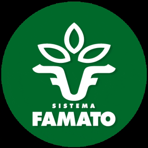 Sistema Famato GIF