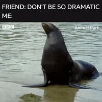 dramatic animal gif