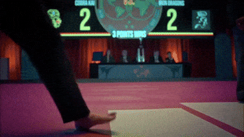 Cobra Kai GIF