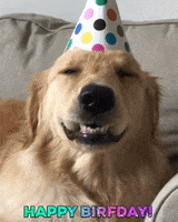 Happy Birthday Puppy GIF by Finley