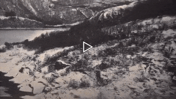 200.gif?cid=fc005b087f7a7eaf21ff81f662d8a9edb34c17f904860219&rid=200.gif&ct=g