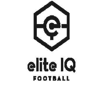 Elite IQ Football Sticker