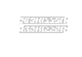 Logo Glitch Sticker by Agentur SchillerHof