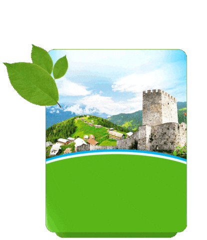 Sesatravelkaradeniz Sticker by Sesa Travel