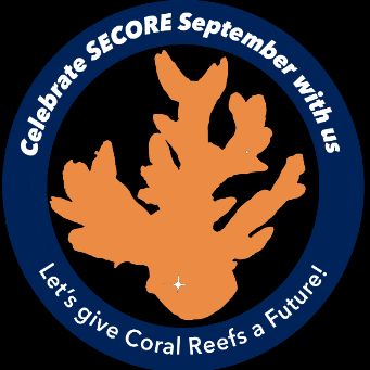 Non Profit Ocean GIF by SECORE international Inc.