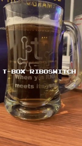 Trna GIF