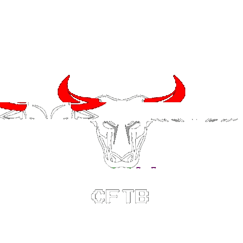 CrossFit Telêmaco Borba Sticker