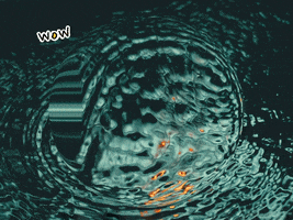 200.gif?cid=fc005b0855abadab65e1b9de0b4a5156a3dd90e97b6af395&rid=200.gif&ct=g