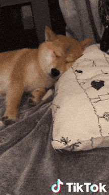 Giphy - Pace Siesta GIF by TikTok Italia