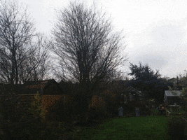 Nottingham GIF