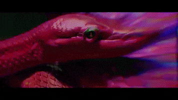 Paradise Lost GIF by The Used