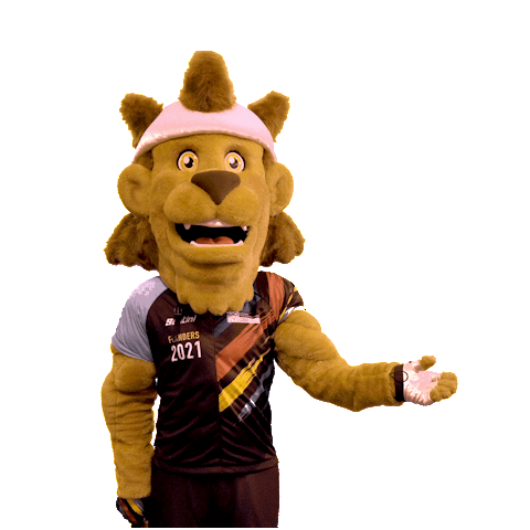 Cycling Sign Sticker by Flanders 2021