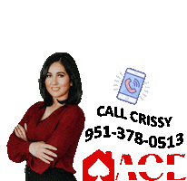 Realtor Realestate Sticker by ACE Realty Inc.