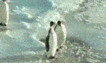 giphy.gif?cid=ecf05e470nnrgfdxcb91vxb0fpprozehyxn0um7ksw541jom&rid=giphy.gif