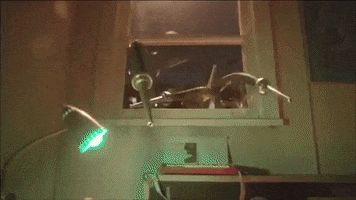 Major Lazer GIF