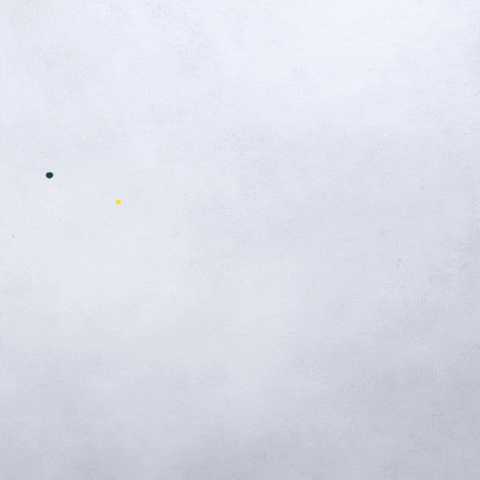 Canola Vita GIF