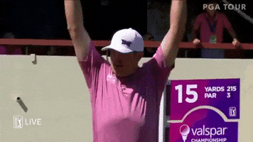GSE Worldwide GIF