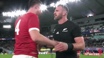 Respect Hug GIF by Rugby World Cup