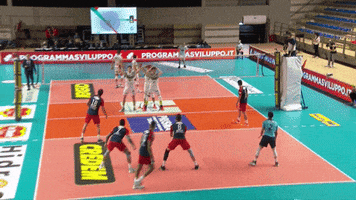 Power Wow GIF by Volleyball World