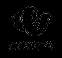 Surfbikinis GIF by costa bikinis