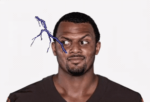 Pittsburgh Steelers Nfl GIF