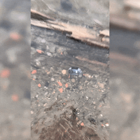 Camera GIF by 1990retro