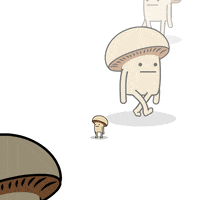 small GIF by mushroommovie