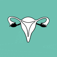 Sassy Womens Rights GIF by #OvaryAct