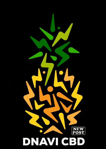 DNAVI CBD GIF