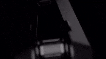 Cardo GIF