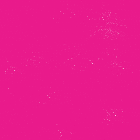 Our Bodies, Our Futures, Our Abortions PP