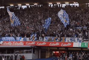 Supporters Ifkgbg GIF by IFK Göteborg