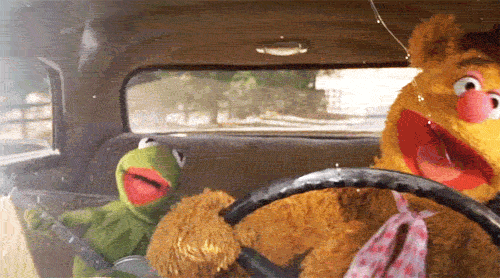  driving the muppets kermit the frog fozzie bear fozzie GIF