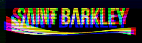 Shoes GIF by Saint Barkley