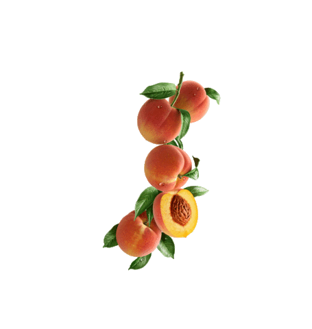Fruit Peach Sticker